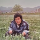 한농종묘 이미지