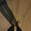 사파정병운동장 이미지