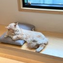 정훈동물병원 이미지