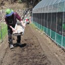 삼성여고 앞 3 이미지