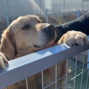 페리아 902 오션뷰 스파 펜션 이미지