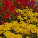 차놀자렌트카 이미지