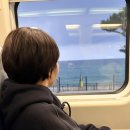 UR(강릉시)-[해안로]-하-106 | 1박2일 가볼만한곳 묵호 뚜벅이 여행 숙소추천 션샤인호텔 묵호닭강정