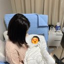 노블클라쎄건강 | [노블클라쎄 산부인과] 유도분만 후기
