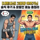 6300 | [내돈내산] 삼대오백 아르기닌 6300 솔직 후기 &amp; 운동인이 꼭 알아야 할 아르기닌 효능 총정리