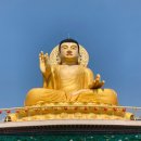 대불농장 이미지