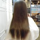 트레보헤어 이미지
