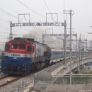 H4913 이미지