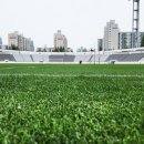 종합운동장 잔디그라운드 이미지