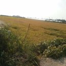 안성시미양면보건지소 이미지