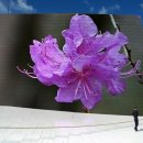 포토퍼니아 바로가기 이미지