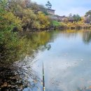 신장소류지 이미지