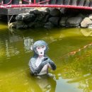 하고 | 베트남 나트랑 여행｜놀거리+휴양+먹방 힐링 다 하고 온 후기