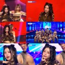 수진스포츠 이미지