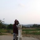 경신농장 이미지