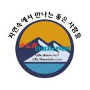 내사랑을 본적이 있나요? 이미지