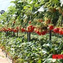 동빈농장 이미지