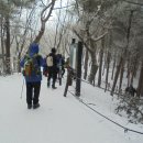 태백시 태백산(1567m) [2024.02.03(토)] 2 이미지