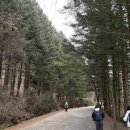 구천동 21-3 ~ 구천동 28 | 덕유산 눈꽃산행 [구천동 코스 / 하행 곤돌라] 등산초보 추천