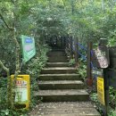 붉은오름자연휴양림 제주매일