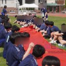 팀그로우 이미지