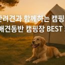 펫트리파크 펜션 | 반려견과 함께하는 캠핑! 애견동반 캠핑장 BEST 5