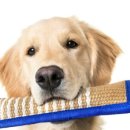 바바휘트니스 이미지