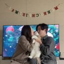 무릎 위의 고양이 무냥 이미지