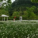 악양생태공원 이미지