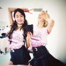 티파니 스포츠조선