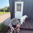 스테이에르바