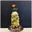 호텔별(범계점) | [방탈출#75] 범계 나비잠 2호점 <Blind Justice(블라인드 저스티스)> 후기