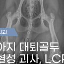 나의 동물메디컬 센터 이미지