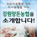 강원양돈축산업협동조합성덕지점 | 소비지 유통의 강자-도시농협을가다 &lt;강원양돈농협 하나로마트&gt;