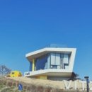 새천년수산 네이버블로그