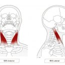 어퍼모스트 이미지
