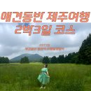 삼일카정비 | [강아지 제주도 여행코스 추천] 2박3일 반려견과 함께한 제주도 렌트카 여행 일정-DAY2