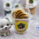 꽃댕이 멍집사 이미지