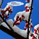 우리집감자탕 티스토리