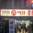 하니솔 | 충무로역 맛집 돼지막창이 맛있었던 팔팔솔막창 내돈내산 후기