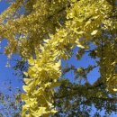 1교다리집 화로구이 이미지