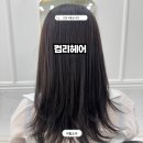 일번가미용실 | 안양일번가 미용실 컴리헤어 톤다운 염색 후기