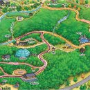 대숲죽녹원민박 이미지