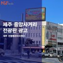 엔앤피미디어