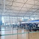 (주)지렉스온라인 | 파라타항공 나트랑 이용후기 | 온라인 체크인, 터미널, 패스트 트랙