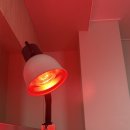 청율산후조리원 | 오산 평택 화성 청율 산후조리원 추천 경산모 내돈내산 후기