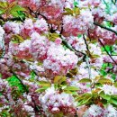 동화구연 지도사 1급 자격증 과정 이미지