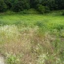 지내보건진료소 이미지