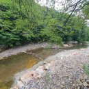 비치진 펜션 이미지