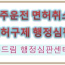 두드림 행정심판전문행정사 사무소 티스토리